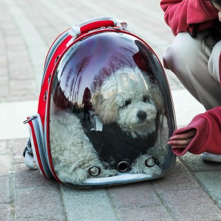 Pet Air Carrier Backpack