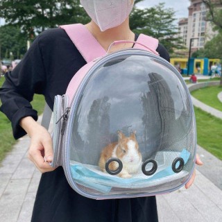 Pet transparent bubble space backpack