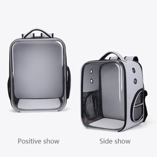 Transparent Printed Space Capsule Pet Backpack