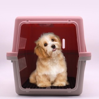 Portable pet travel safety cabin