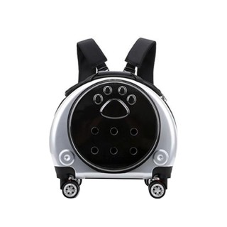 Pet transparent trolley space capsule