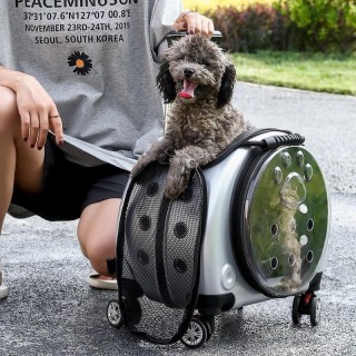 Pet transparent trolley space capsule