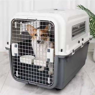 Exclusive air travel cabin for pets