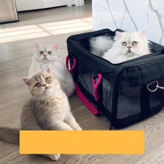 Breathable and lightweight pet outdoor backpack