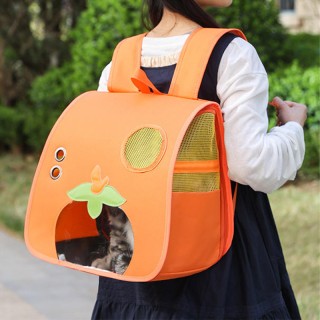 Large-capacity orange pet backpack