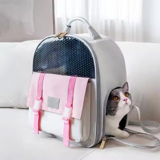 Durable Canvas Pet Travel Backpack