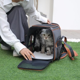 Foldable breathable pet backpack
