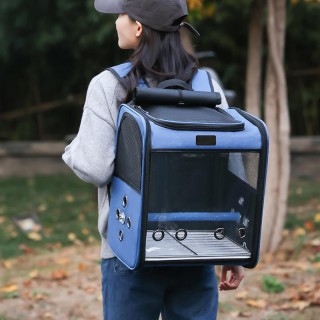 Panoramic transparent pet backpack