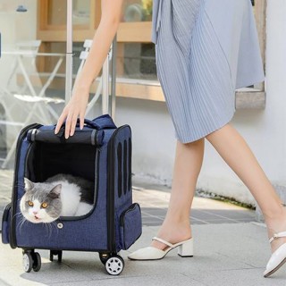 Luxury breathable small pet trolley backpack