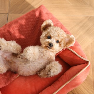 2 in 1 Multifunctional Warm Blanket Cave Pet Bed