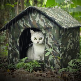 Environmentally friendly waterproof portable pet bed